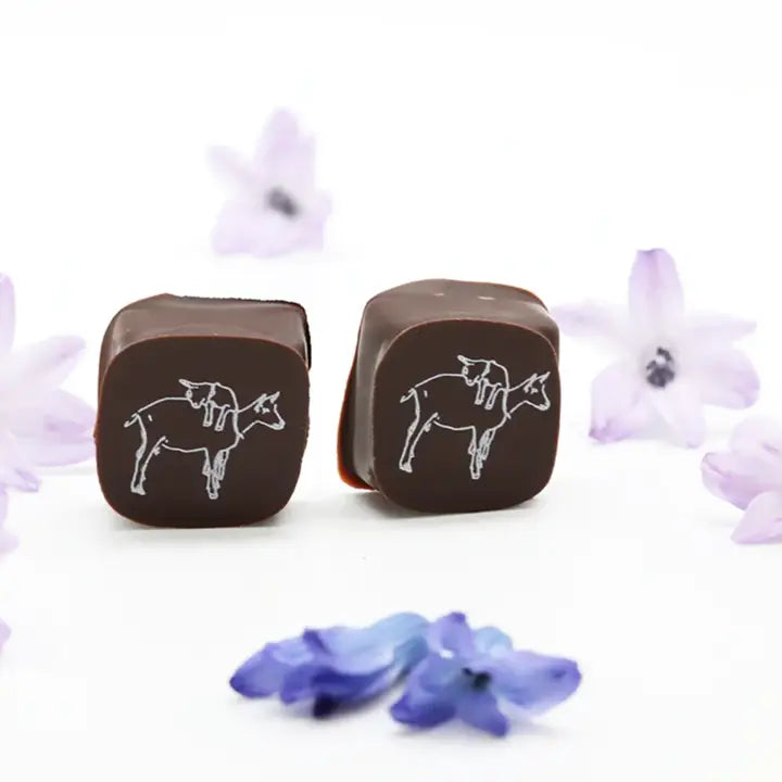2 Piece Chocolate Covered Caramel Candy Gram